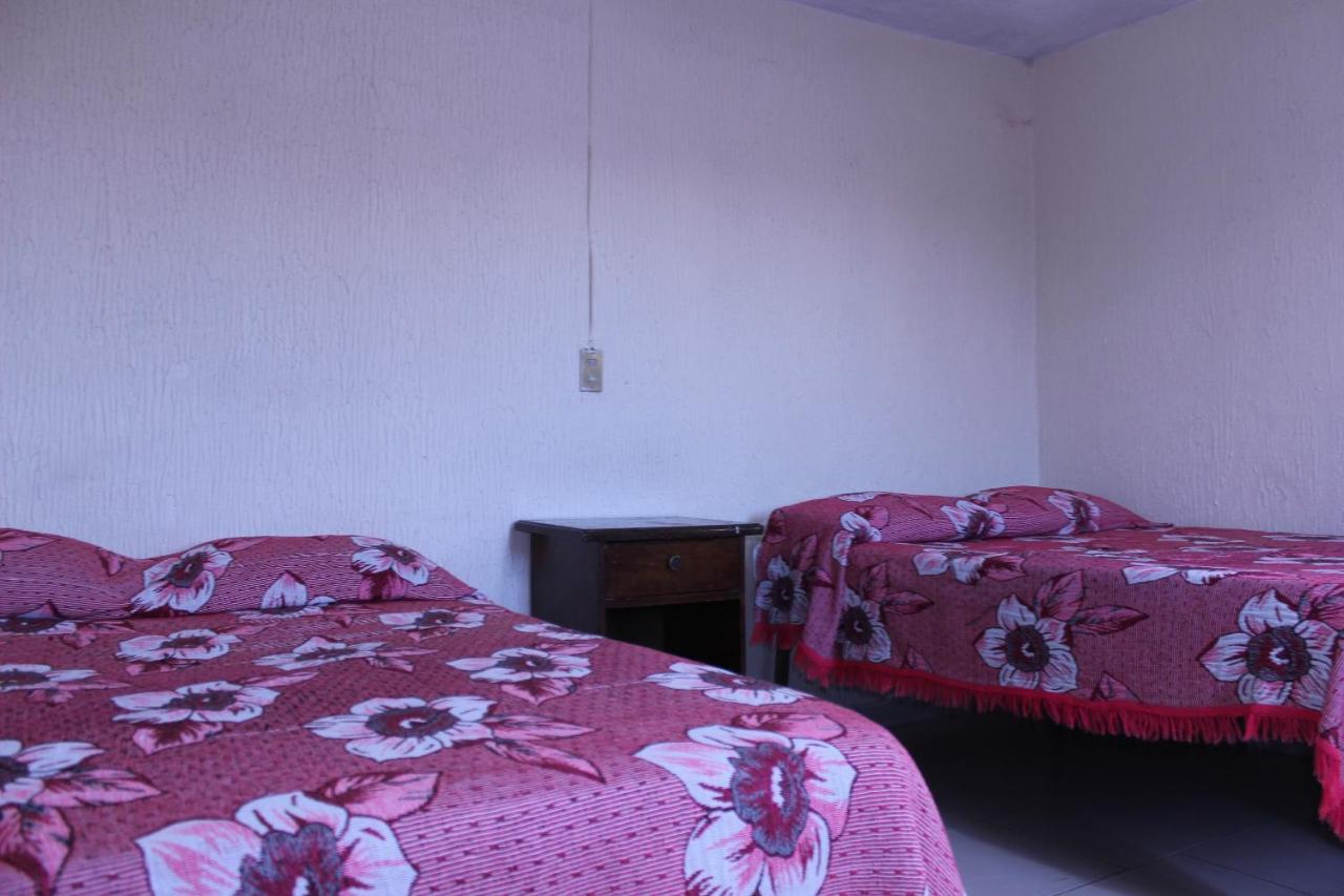 Hotel Plaza Aleman León Eksteriør bilde